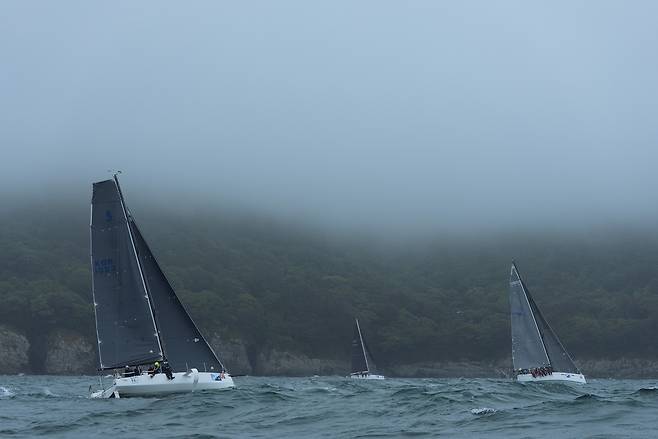 남해안컵 국제 요트대회 사진 : 김울프 작가