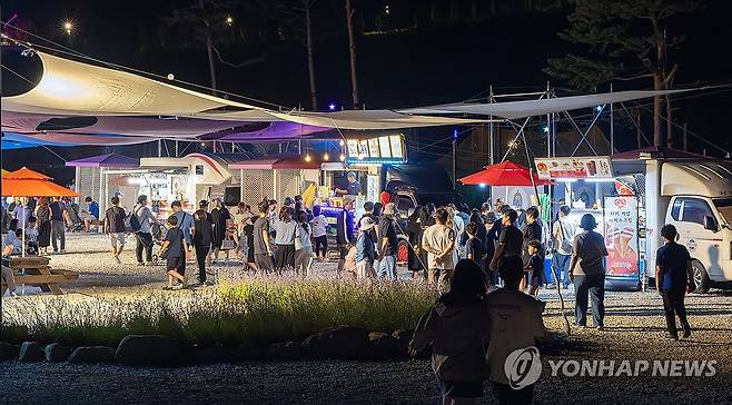 밤에도 북적북적…동해 무릉별유천지 라벤더 축제 [연합뉴스 자료사진]