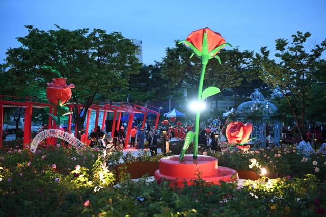최근 개장한 모전공원 장미원에 야경을 즐기려는 시민들이 몰리고 있다. 문경시 제공