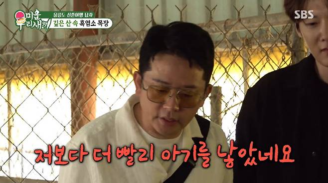 (사진=SBS 방송화면)