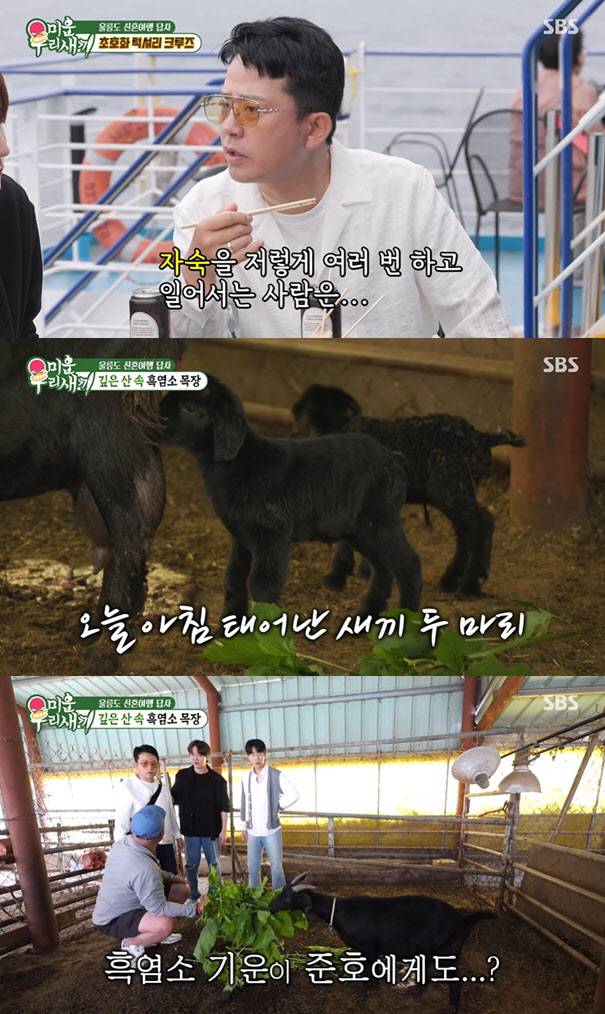 (사진=SBS 방송화면)