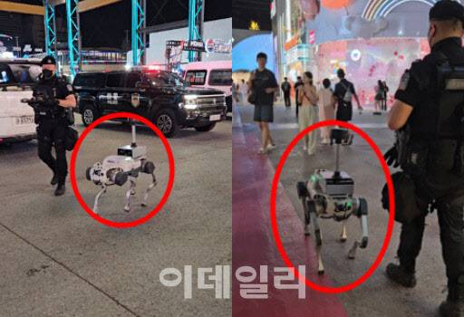 중국 베이징 우커송 완다광장에서 경찰 로봇 개가 순찰을 위해 나서고 있다. (영상 캡처=이데일리 이명철 특파원)