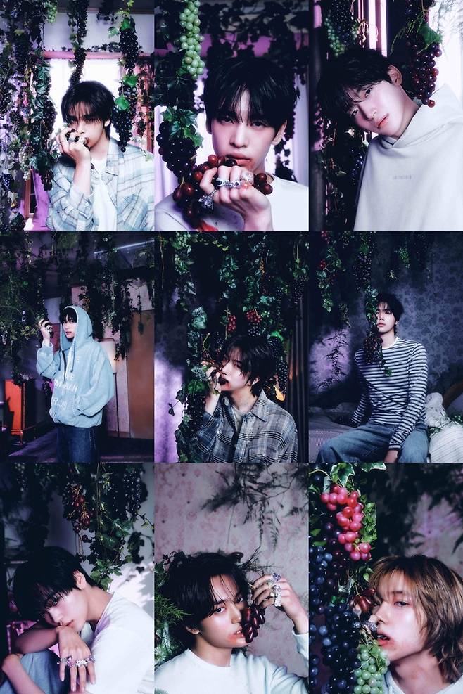 크래비티. 사진 | 스타쉽엔터테인먼트