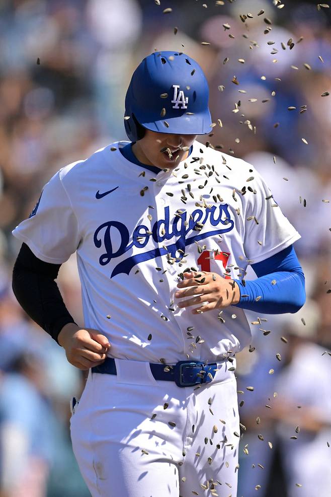 LOS ANGELES, CALIFORNIA - JUNE 22: Shohei Ohtani #17 of the Los Angeles Dodgers is showered with sunflower seeds after hitting a two-run home run in the eighth against the Washington Nationals at Dodger Stadium on June 22, 2025 in Los Angeles, California.   Jayne Kamin-Oncea/Getty Images/AFP (Photo by Jayne Kamin-Oncea / GETTY IMAGES NORTH AMERICA / Getty Images via AFP)







<저작권자(c) 연합뉴스, 무단 전재-재배포, AI 학습 및 활용 금지>