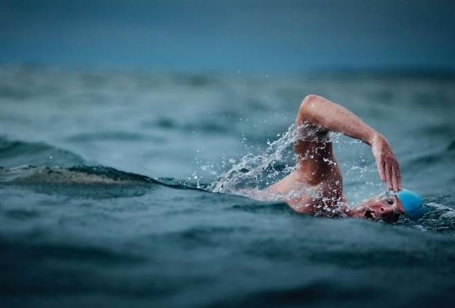 유엔 해양 친선대사 루이스 퓨(55)가 '죠스'에서 묘사된 상어의 공포 이미지를 깨기 위해 영화 촬영지인 마사스빈야드 섬 주변을 12일에 걸쳐 수영했다.