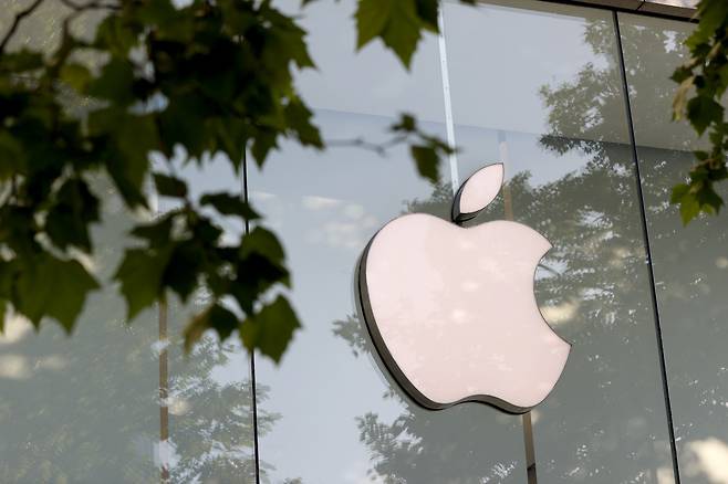 미국 증시를 이끄는 7개 대형 기술주를 가리키는 ‘M7(Magnificent7)’ 중 하나인 애플 매장 / 신화통신=연합뉴스