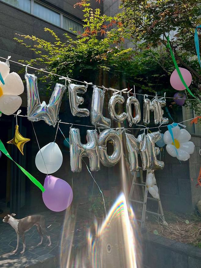 인스타그램 @rovvxhyo