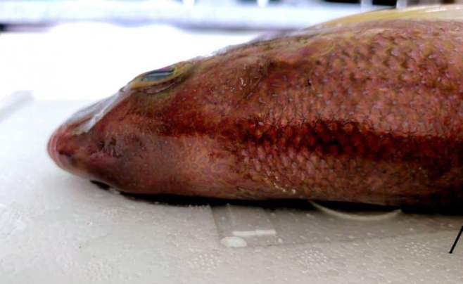 3fb8c32fffd711ab6fb8d38a4787766dae90cf229618e564a46d14a05381433d59b9f21e349c69b87e5a5f21e8