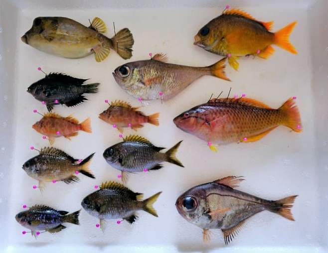 3fb8c32fffd711ab6fb8d38a4480766de22b393f77292d7d22de8856f0e9022f0a4bea3b0dcf460f5f04866387