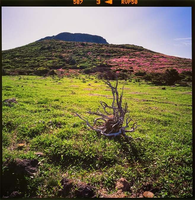 7fed8273a8826eeb3fec9be54682737db24d1f614ea397251c1b8c53a66bd52dba0b2ed6b3