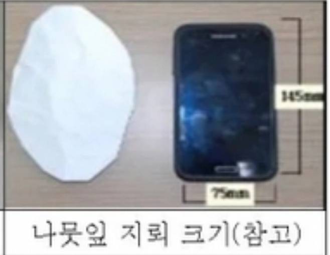 경고)나뭇잎 닮은 지뢰 조심해라.news