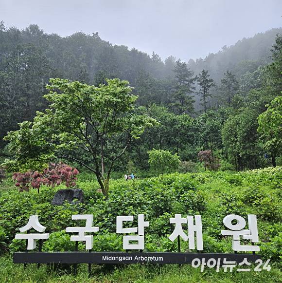 미동산수목원 수국담채원. [사진=장예린 기자]
