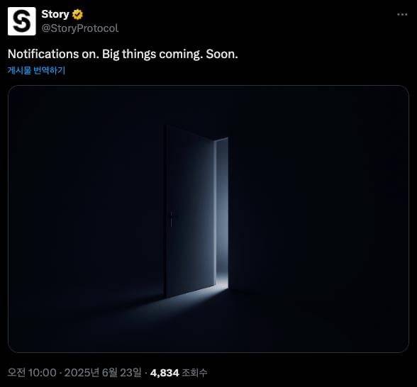 스토리 공식 X 캡처