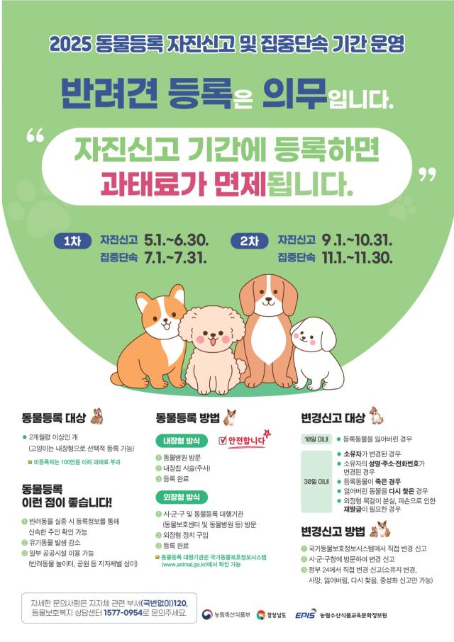 반려동물 등록하셨나요? 자진신고 및 집중단속이 이뤄지니 서두르세요. 경상남도 제공