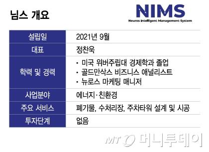 님스 개요/그래픽=이지혜