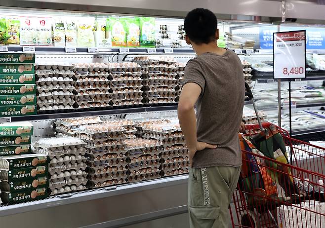 22일 서울의 한 대형마트 [연합]