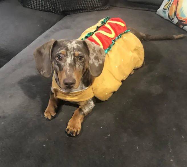 [뉴시스] (사진=트레버 인스타그램) *재판매 및 DB 금지