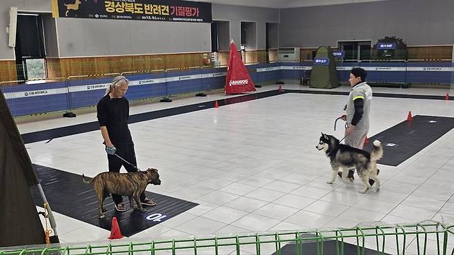 [안동=뉴시스] 지난 해 기질평가 장면. (사진=경북도 제공) 2025.06.23. photo@newsis.com *재판매 및 DB 금지