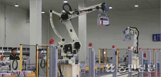 강원 영월 한반도농협 스마트 농산물산지유통센터(APC)에서 자동으로 선별·포장이 완료된 농산물을 로봇이 상자째 들어 팰릿 위에 적재하고 있다.