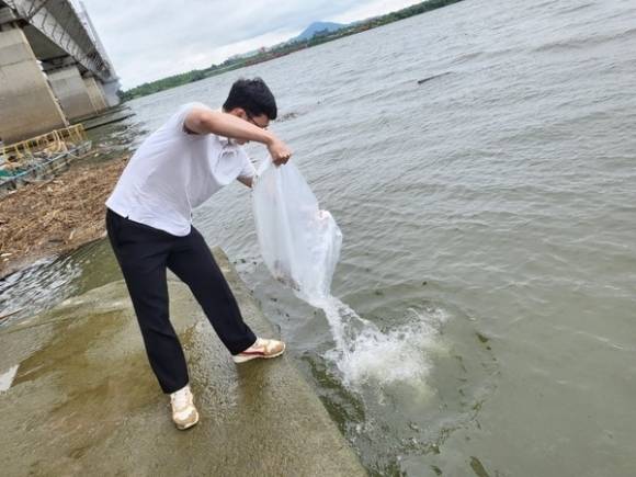 토산 어종 ‘쏘가리’ 방류 자료 사진(경기도해양수산자원연구소 제공)