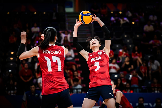 국제배구연맹 제공