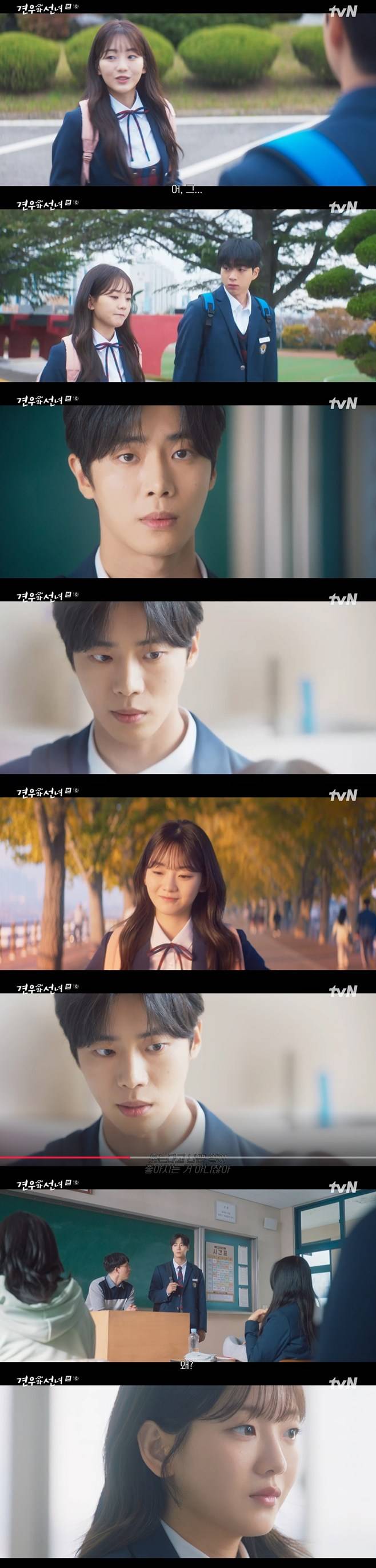 티브이데일리 포토