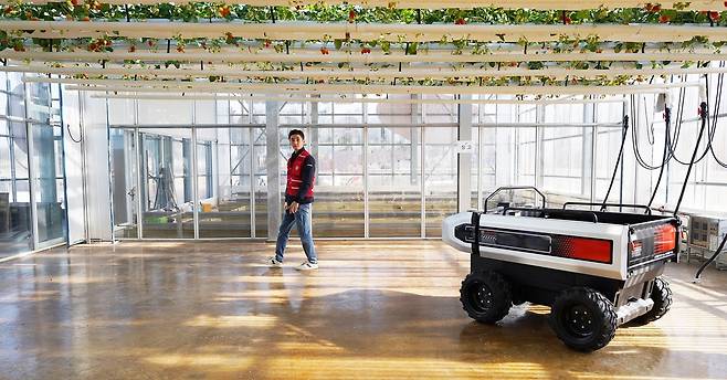 대동 [대동 제공. 재판매 및 DB 금지]