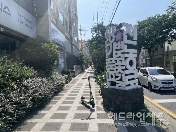 '골목형 상점가'로 지정된 제주시 전농로 벚꽃거리.