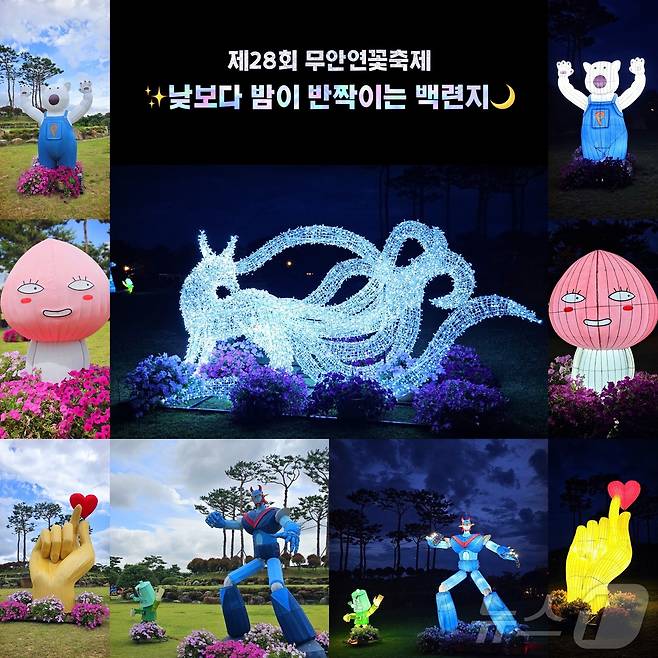 무안연꽃축제장에 조성된 유등 전경 (무안군 제공. 재판매 및 DB금지) /뉴스1