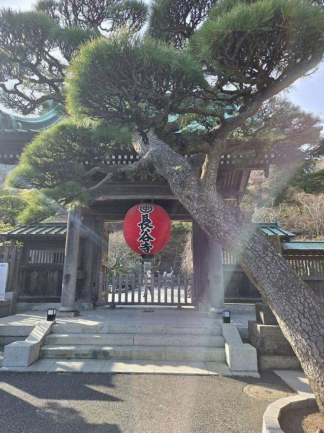 20250115_134232.jpg 일본 랜트카 여행 59일 31일차, 32일차~ 33일차 루트