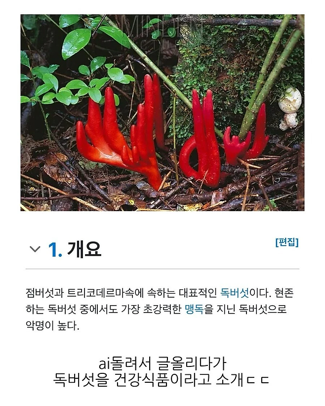 image.png 요즘 네이버 블로그 글을 믿으면 안 되는 이유