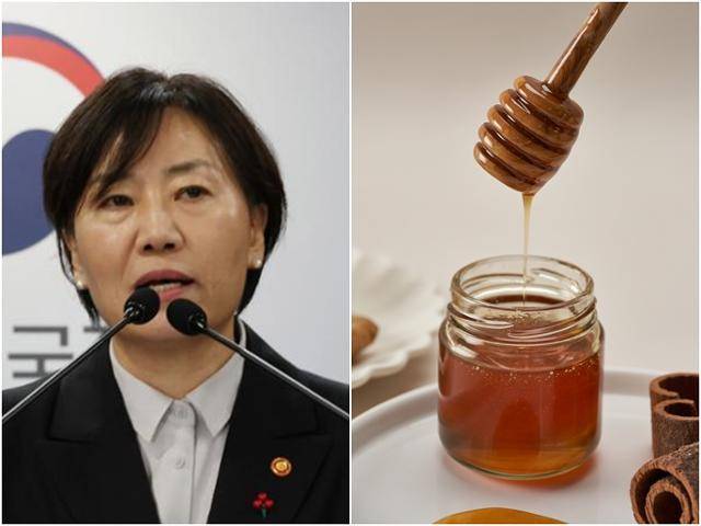 송미령 농림축산식품부 장관은 지난해 10월 사양꿀에 설탕이라는 명칭을 넣겠다고 공언했지만 8개월이 지난 지금 관련 논의는 이뤄지지 않고 있다. 한국일보 자료사진, 게티이미지뱅크