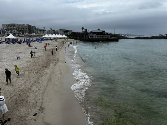 24일 개장한 제주 함덕해수욕장을 찾은 관광객들. 물결 사이로 녹색인 구멍갈파래가 보인다. 최충일 기자