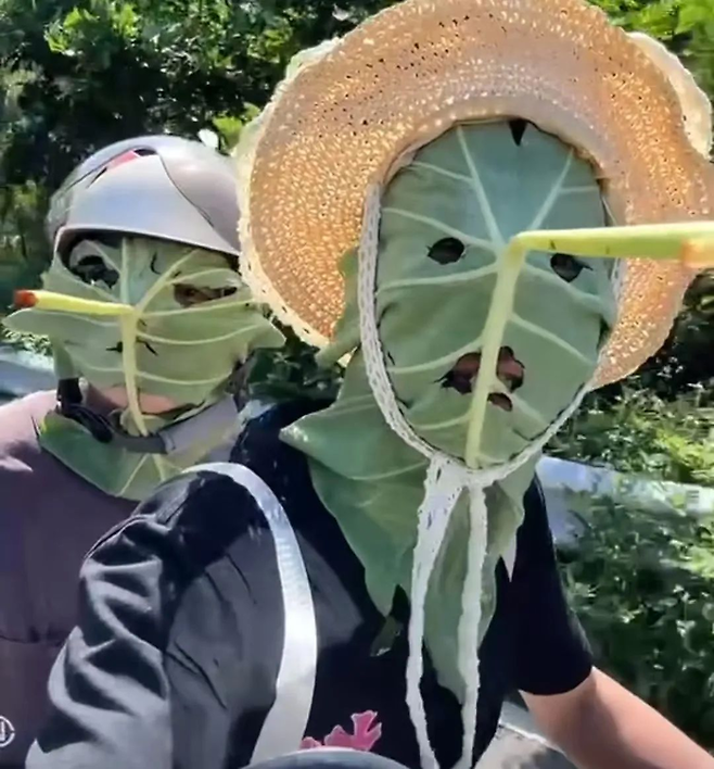연잎으로 만든 마스크를 사람이 쓰고 있다. [사진 = SNS]