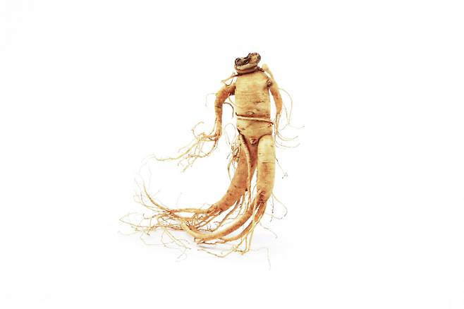 알몸으로 집안을 활보하는 남편 때문에 고민이라는 여성 사연이 공개됐다. /자료사진=클립아트코리아