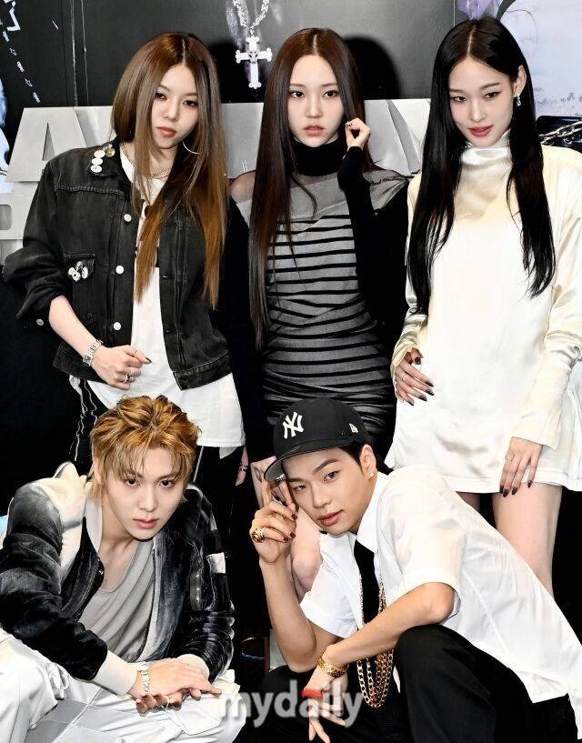 올데이 프로젝트 / 마이데일리