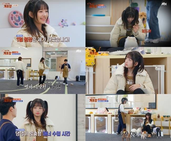 JTBC ‘집 나가면 개호강’ 캡처