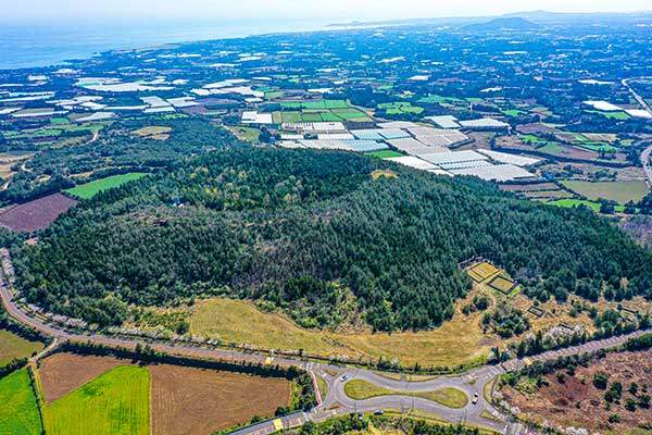 하늘에서 본 독자봉. 그 너머가 삼달리다.