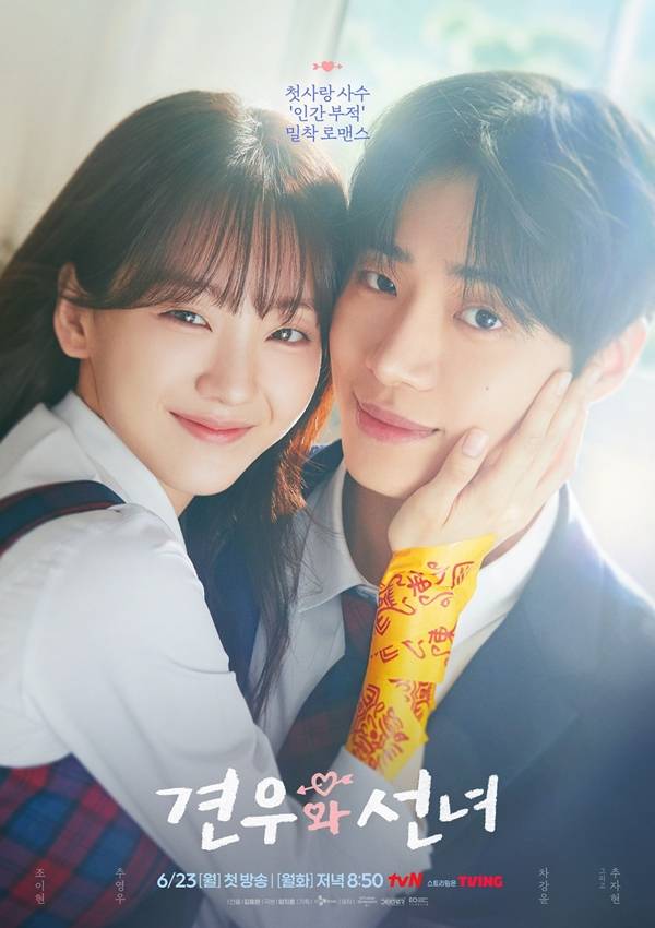 tvN 견우와 선녀 포스터
