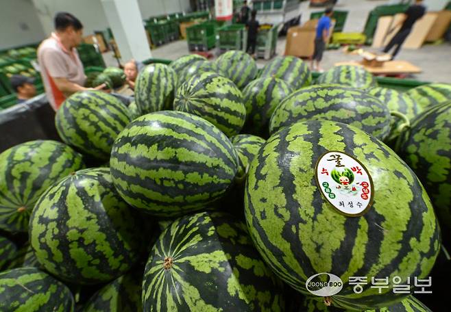 후텁지근한 날씨가 이어진 25일 오후 수원시 권선구 농수산물도매시장에서 과일동 관계자들이 여름 제철 과일인 수박 하역 작업을 하고 있다. 임채운기자