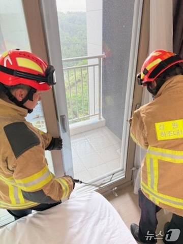 양양의 한 호텔에서 발견된 볼파이톤.(강원도소방본부 제공, 재판매 및 DB금지)