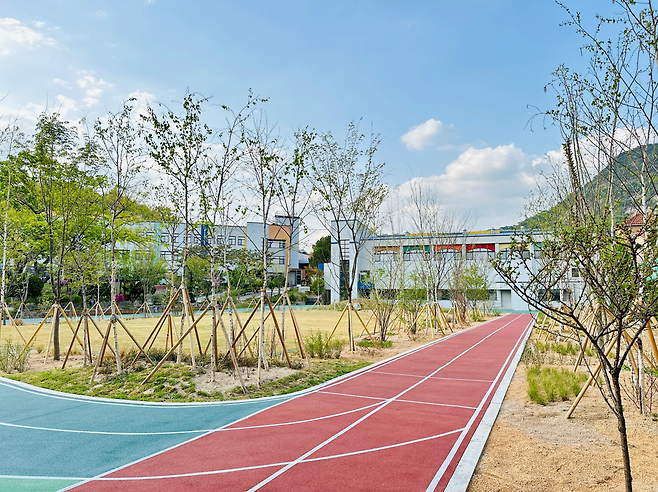 숲이 있는 운동장 조성 전(위쪽 사진)과 후. 삭막한 학교 운동장이 푸르른 나무와 풀꽃이 어우러진 숲으로 변하면서 아이들은 나무 그늘 아래에서 뛰놀고 곤충과 식물을 관찰하며 자연을 배운다. 월드비전 제공