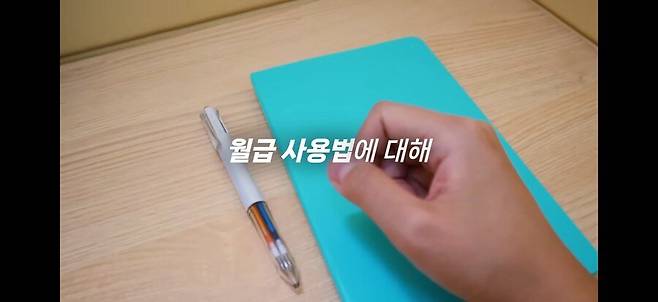 IMG_9781.jpeg 월 270만원 저축하는 짠순이 노하우 알려줌