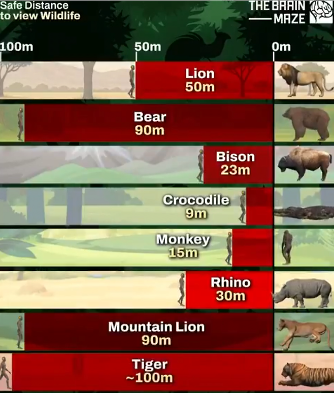 동물별 필수 안전 거리