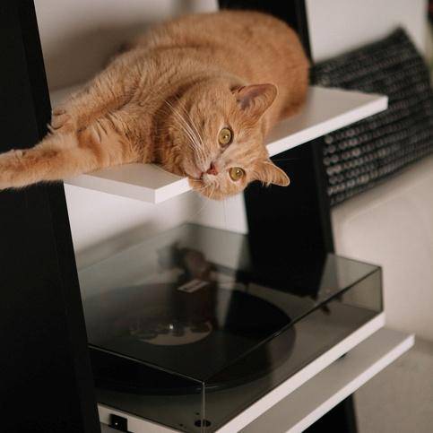 게티이미지뱅크