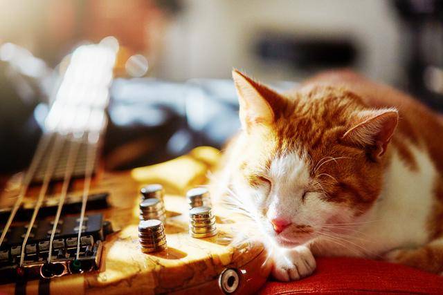 게티이미지뱅크