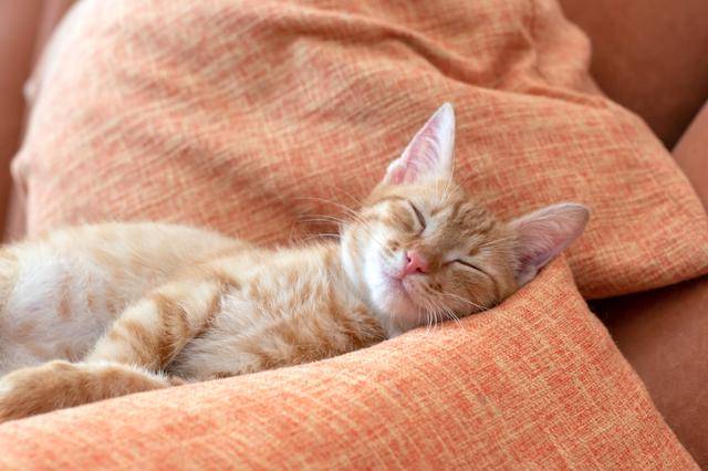 게티이미지뱅크