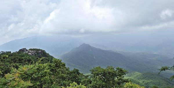 월봉산 정상에서 북쪽으로 조망이 열린다. 왼쪽 암봉은 누룩덤이며 오른쪽 칼바위(수리덤) 뒤로 남덕유산 삿갓봉 무룡산이 구름을 뒤집어썼다.