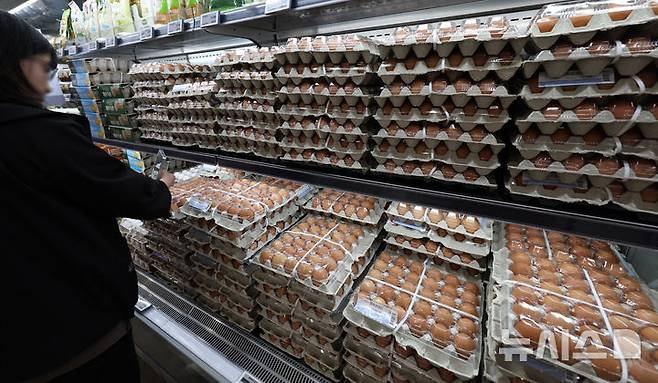 [서울=뉴시스] 조수정 기자 =식품의약품안전처는 여름철 살모넬라 식중독 등 안전사고 예방을 위해 액란 등을 생산하는 알가공품 제조업체 174곳을 점검한 결과 '축산물 위생관리법'을 위반한 4곳을 적발했다고 25일 밝혔다. 지난달 23일 서울 시내 한 대형마트에서 소비자들이 계란을 고르고 있다. 해당 사진은 기사와 직접 관련이 없습니다. 2025.05.23. chocrystal@newsis.com