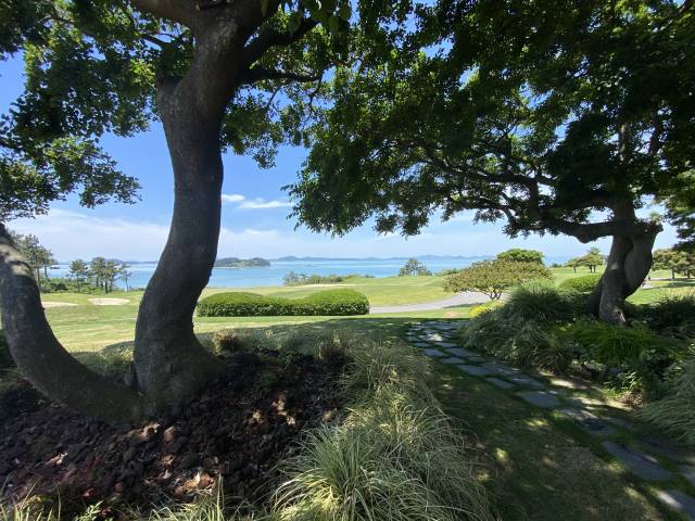 클럽하우스 앞 팽나무 그늘 포토 스폿.